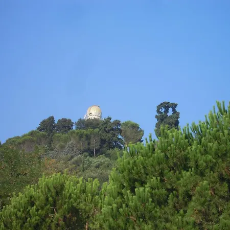 Vatican Gardens House רומא